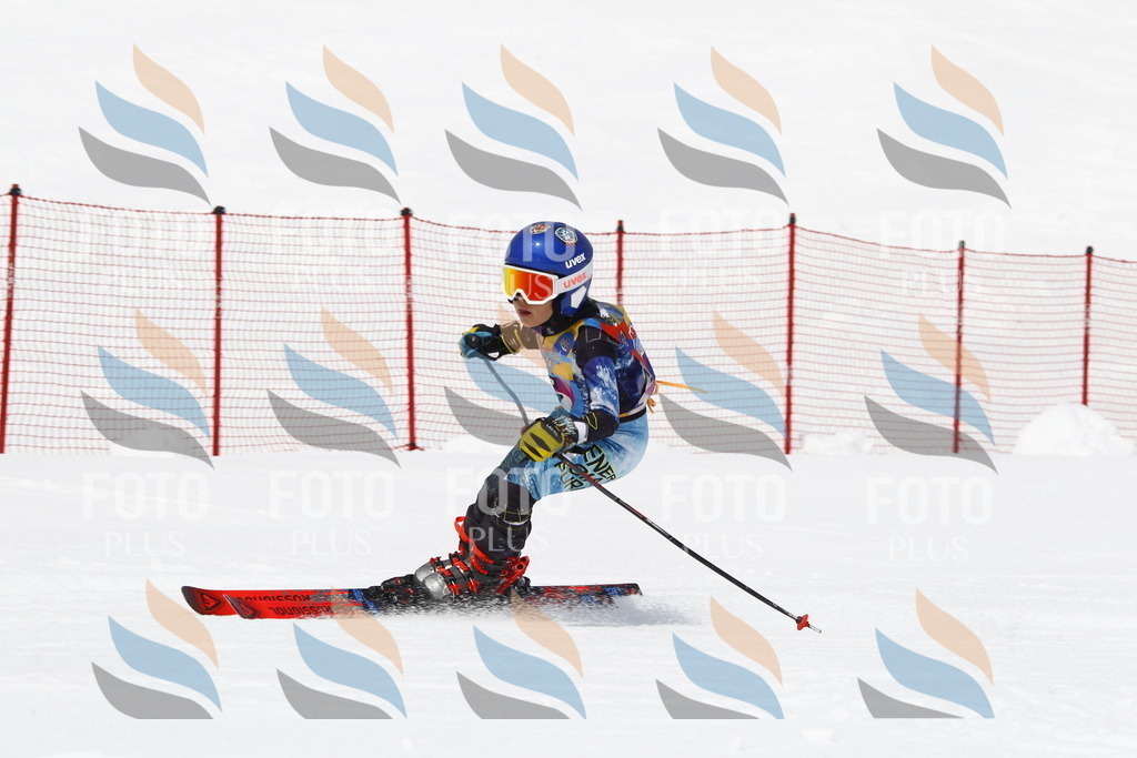 _U3G6954 | holidayphoto