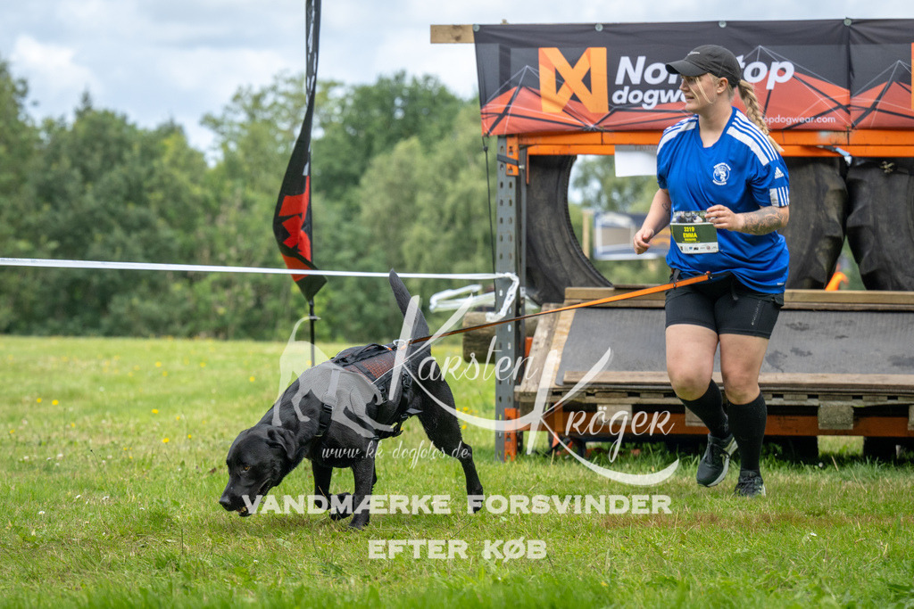 1231_ZZ93859 | kk-dogfotos