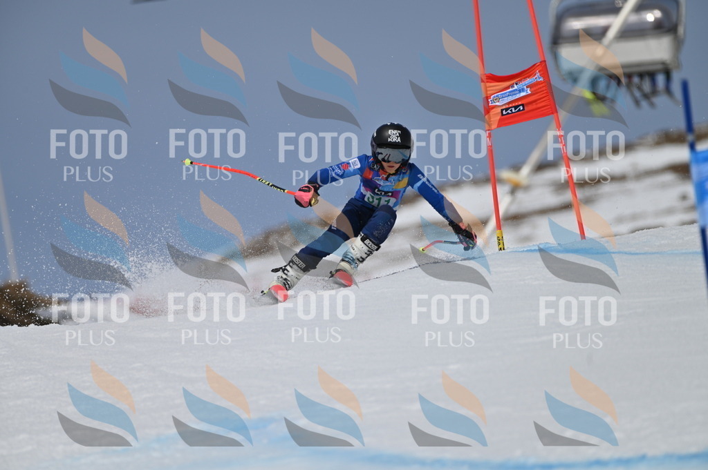 BGV_6156 | holidayphoto