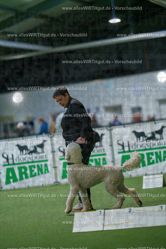 7R509878 | Professionelle Tierfotografie in Mönchengladbach von Daniel Wirth (allesWIRTHgut). Liebevolle & natürliche Bilder von Hunden & Katzen für unvergessliche Erinnerungen.