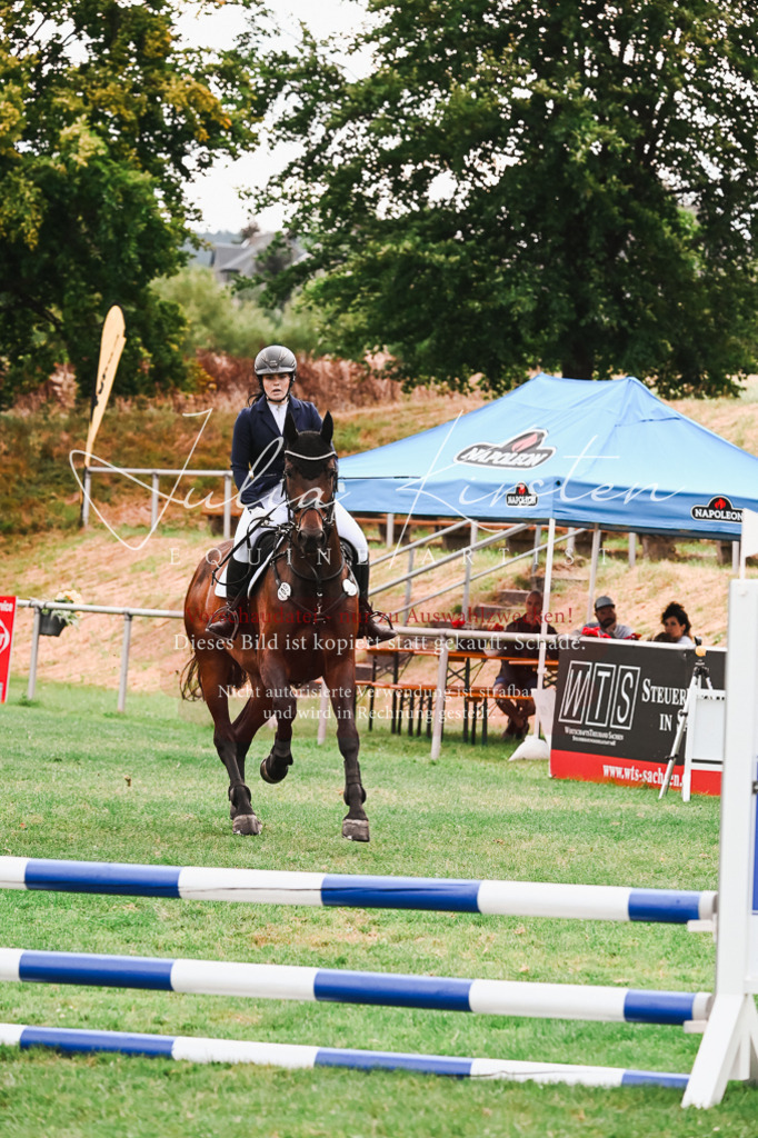 DSC_5999 | Pferde- und Turnierfotografie in Westsachsen. Pferdeportraits, Auftragszeichnungen und intuitive Kunst.