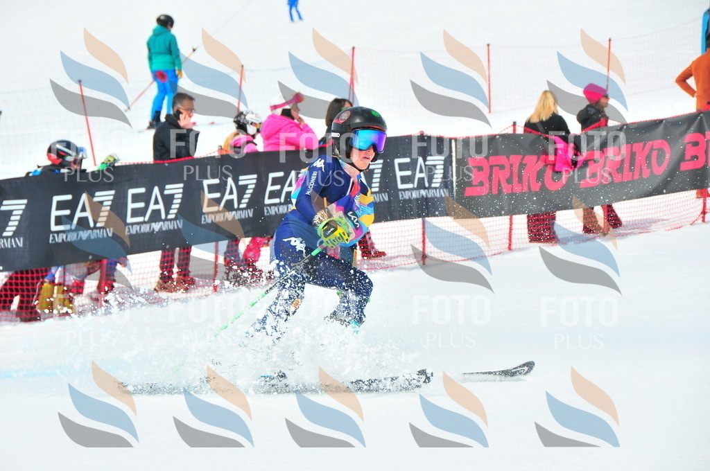 DSC_1748 | holidayphoto