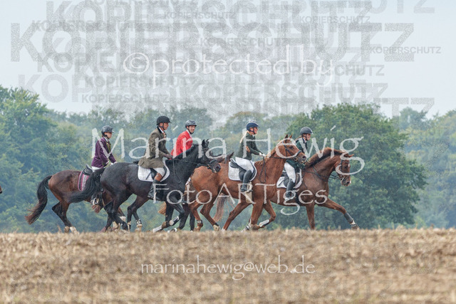 Jagd Perdoel_MarinaHewigMCH04265 | Fotografie, FotoArt, PferdesportArt, Pferdesportfotografie, Landschaftsfotografie, Reisefotografie, Reise, Pferde - Realisiert mit Pictrs.com