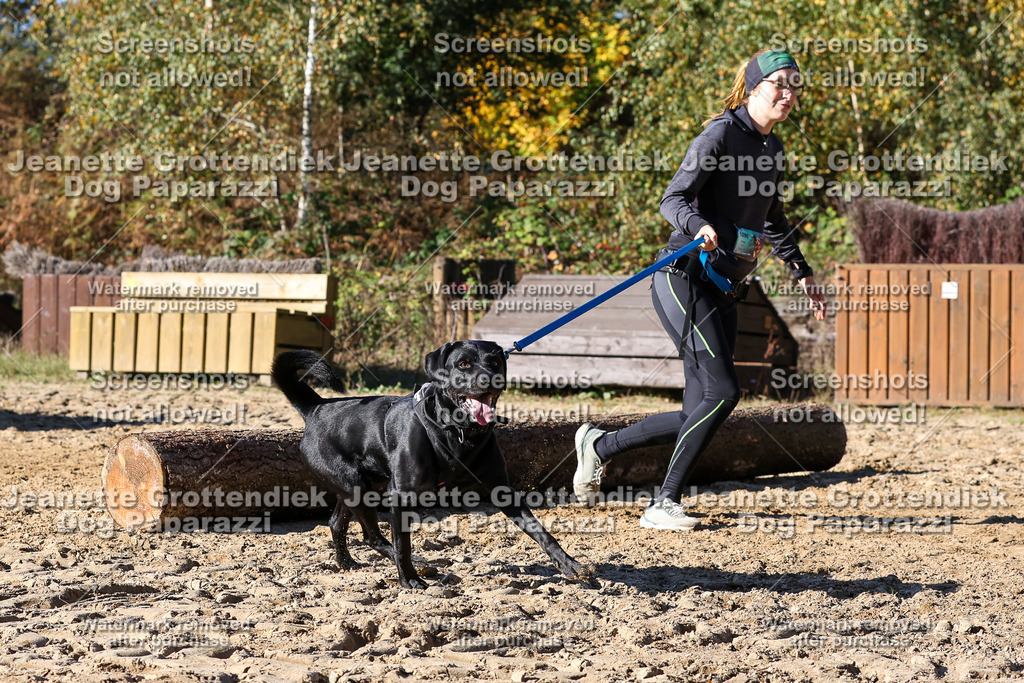 Dog Paparazzi - Strongdog 10-25-2809 | Dog Paparazzi Jeanette Grottendiek Fotografie & Videografie - Realisiert mit Pictrs.com