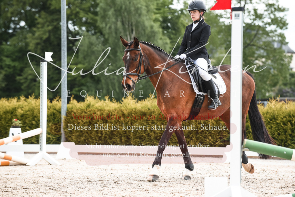 20230518_JK-Röhrsdorf-10-192 | Pferde- und Turnierfotografie in Westsachsen. Pferdeportraits, Auftragszeichnungen und intuitive Kunst.
