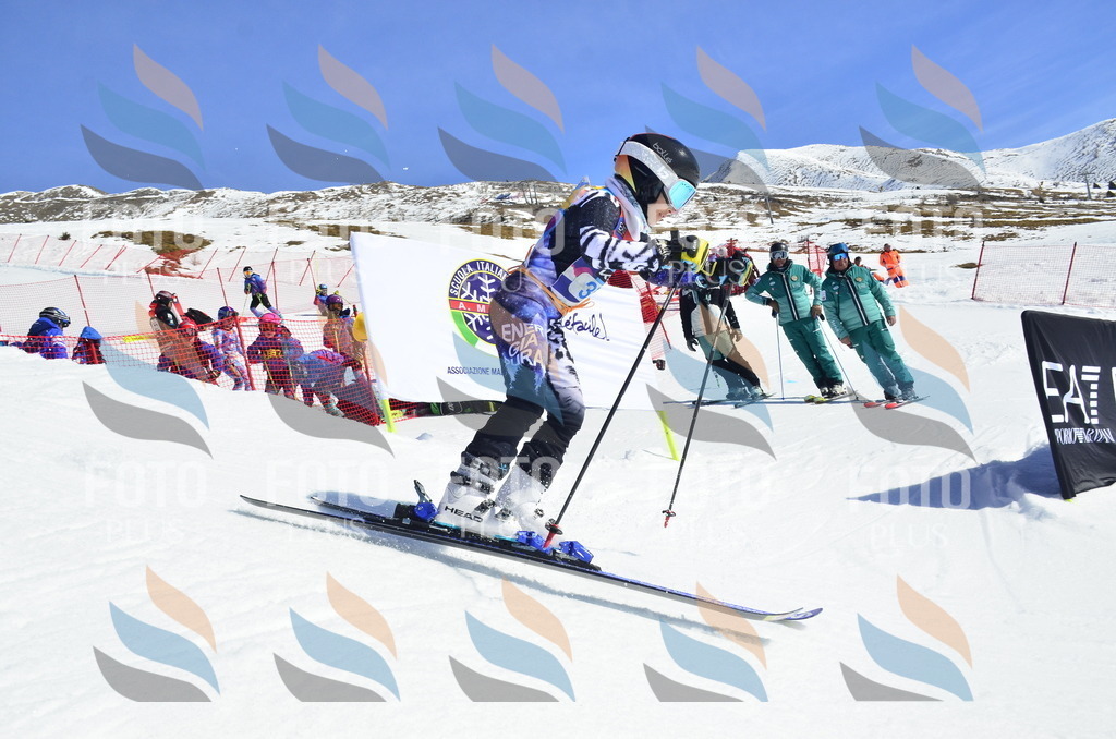 _ELE0031 | holidayphoto