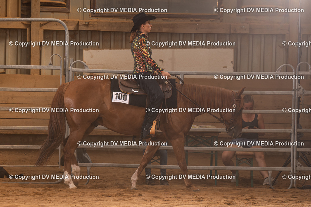 NID00288 | dv-media-shop - Realisiert mit Pictrs.com