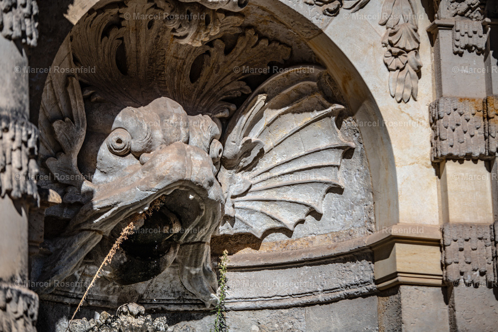 _DSC1652 | foto-rosenfeld