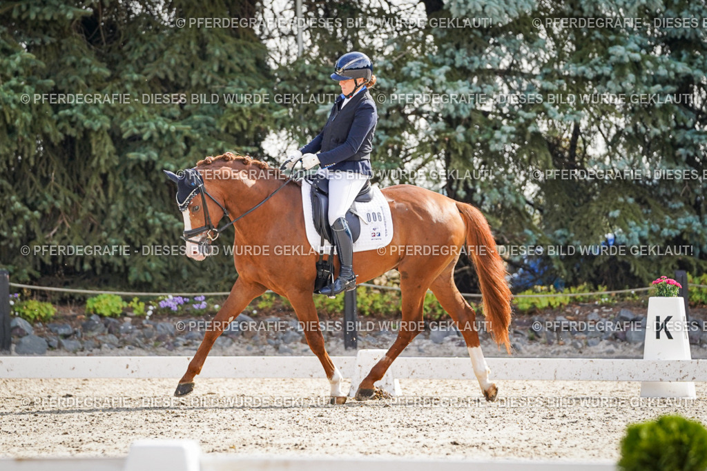 DSC06433 | Pferdegrafie