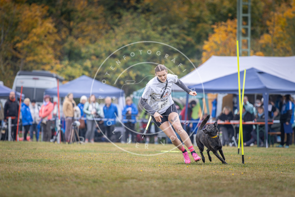 Pfotenfotografie_DV3A1088 | Hundefotografie, Tierfotograf, Pfotenfotografie, Fotoshooting Hund, Hunde Portrait, Hundesport, Hundeportraits, Heideshooting, Hunde, Sportfotograf, Hundefotograf, Turnierhundsport, THS,  - Realisiert mit Pictrs.com