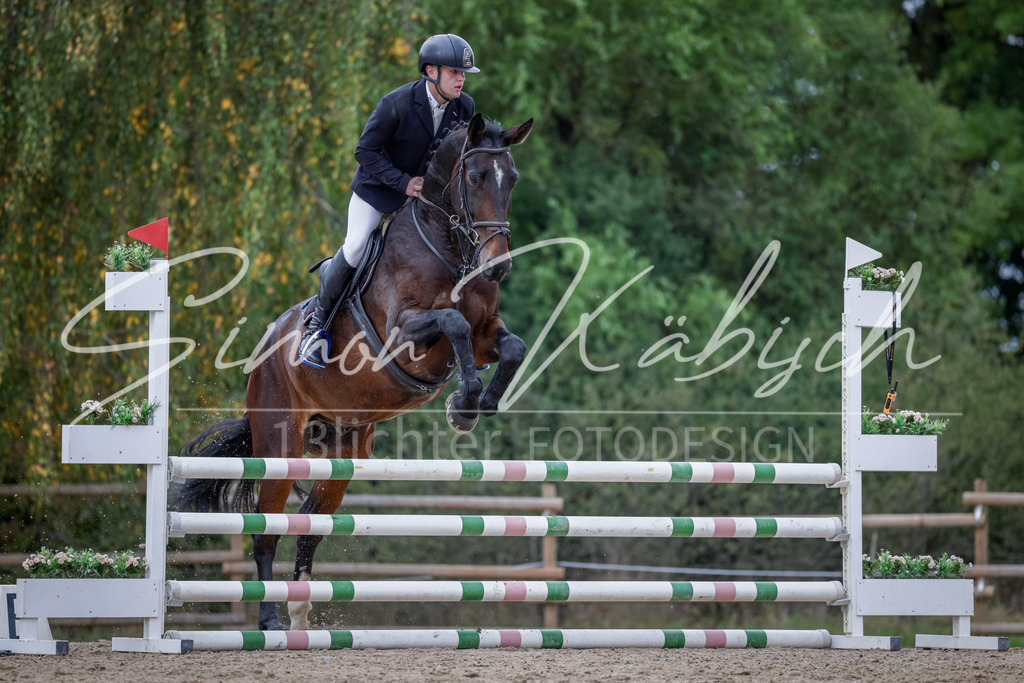 20251012-_3LI3825 | Tierfotografie Pferde, Hunde, Katzen, Haustiere.
Turnierfotografie Reitturniere, Reiten, Springreiten, Dressur in Hanau, dem Main-Kinzig-Kreis und dem Rhein-Main- Gebiet um Frankfurt