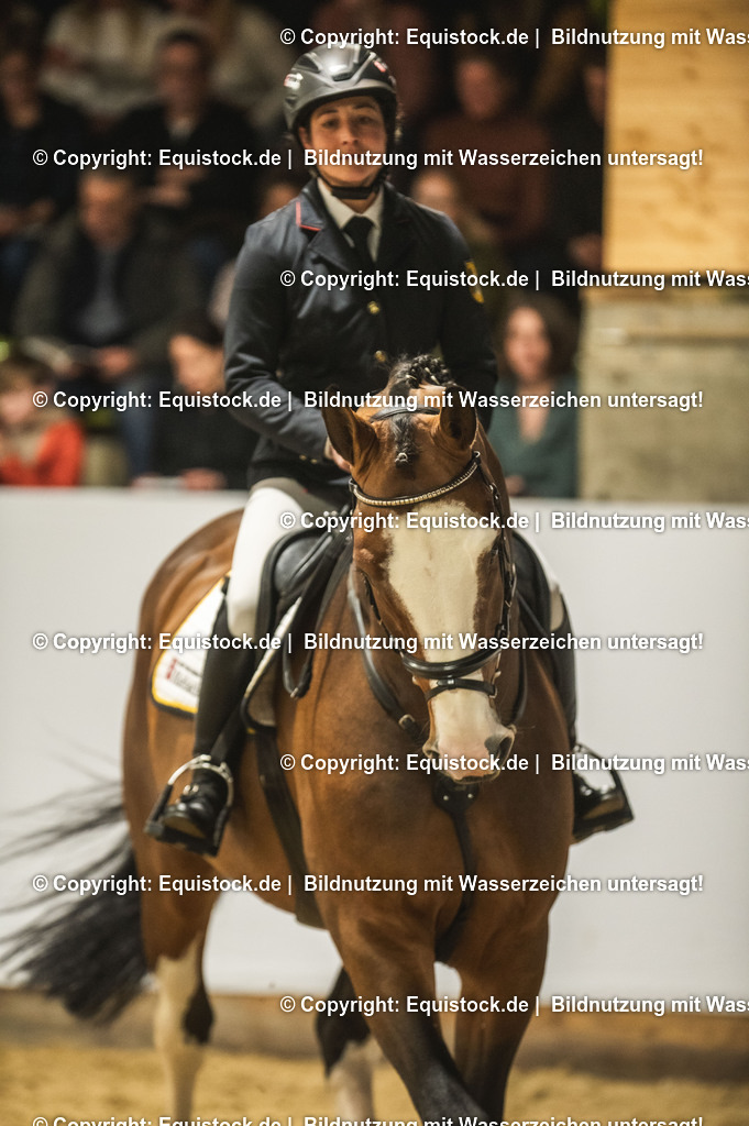 20240302_Hengstvorstellung_Marbach_TOMsPiC_0485 | equistock