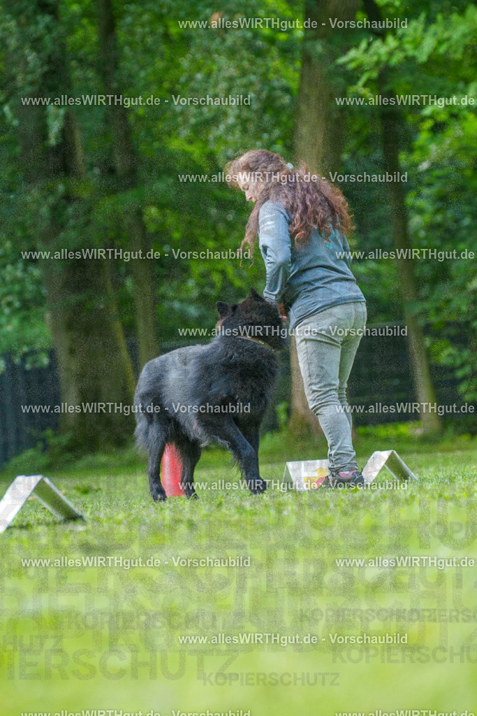 @allesWIRTHgut_Tierfotografie - www.allesWIRTHgut.de - 7R505717 | Professionelle Tierfotografie in Mönchengladbach von Daniel Wirth (allesWIRTHgut). Liebevolle & natürliche Bilder von Hunden & Katzen für unvergessliche Erinnerungen.