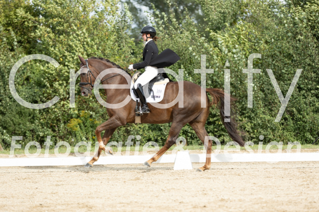 IMG_6950 | Creatify Fotografie