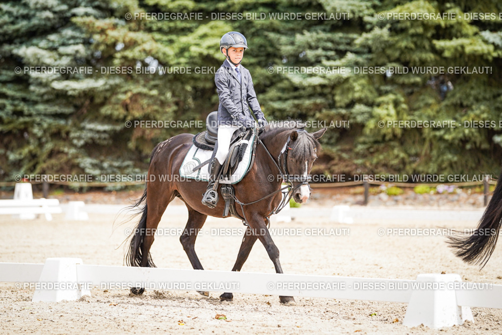 DSC02742 | Pferdegrafie