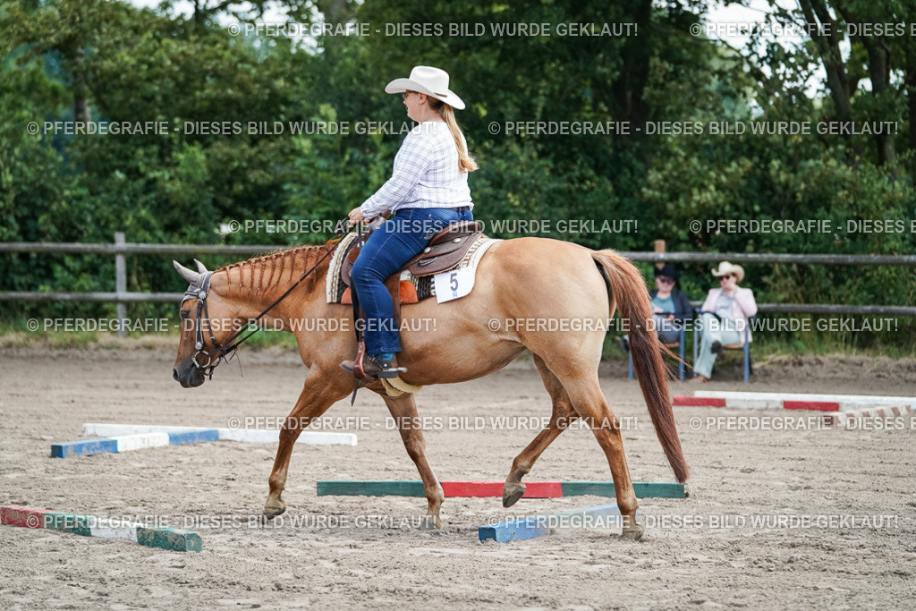 DSC05863 | Pferdegrafie