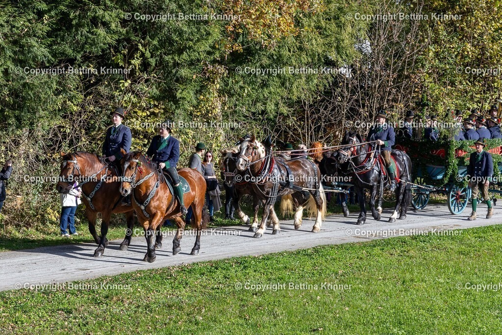 LBT24-785 | foto-bettina-krinner - Realisiert mit Pictrs.com