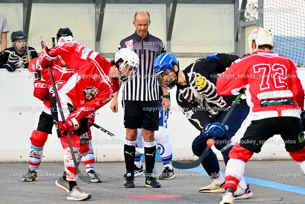 Team Zehenthof vs. HSC Eagles 7.7.2023 | Wassermann Michael Referee, #12 Lamereiner Leon, #10 Sunitsch Marco, #61 Andric Niklas