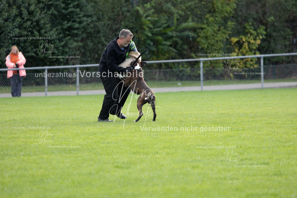 _16A6537 | Einzigartige Fotos von Hunden & Menschen –Actionfotos, Portraits, Vereinsaufnahmen & Paarshootings – authentisch, lebendig & mit Herz.