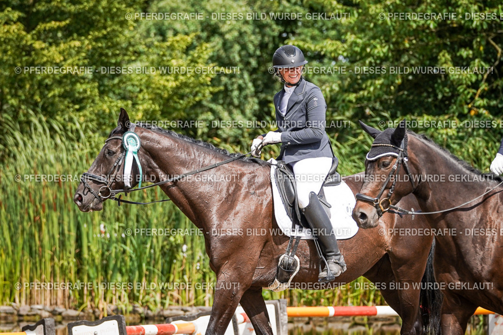 DSC02412 | Pferdegrafie