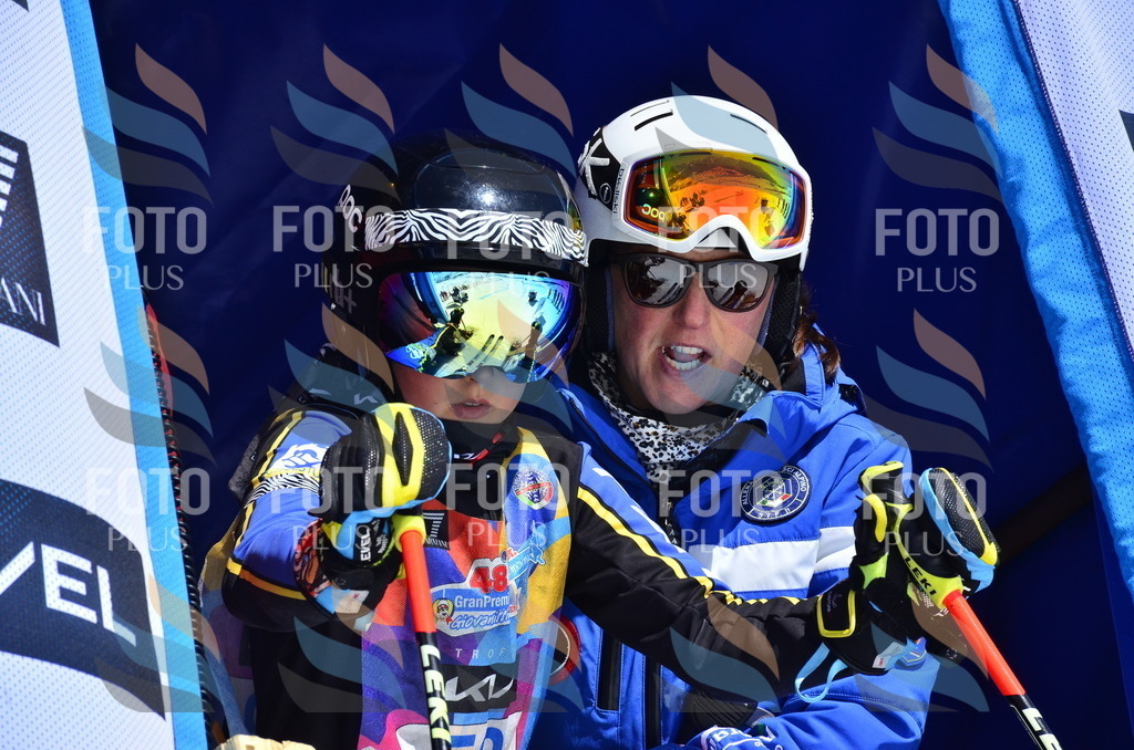 _ELE0217 | holidayphoto