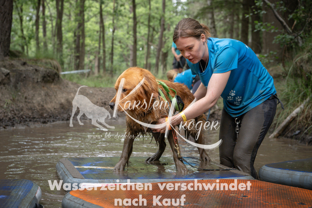 1240_ZZ90433 | kk-dogfotos