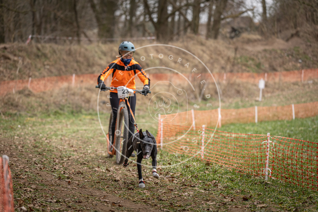 Pfotenfotografie_DV3A7273 | Hundefotografie, Tierfotograf, Pfotenfotografie, Fotoshooting Hund, Hunde Portrait, Hundesport, Hundeportraits, Heideshooting, Hunde, Sportfotograf, Hundefotograf, Turnierhundsport, THS,  - Realisiert mit Pictrs.com
