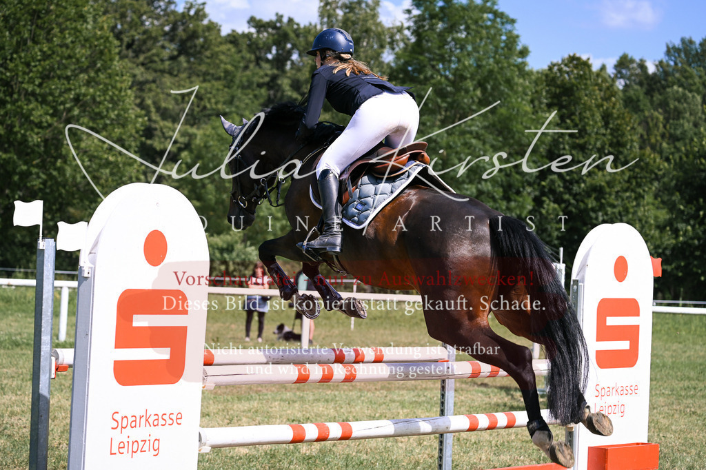 DSC_0528 | Pferde- und Turnierfotografie in Westsachsen. Pferdeportraits, Auftragszeichnungen und intuitive Kunst.