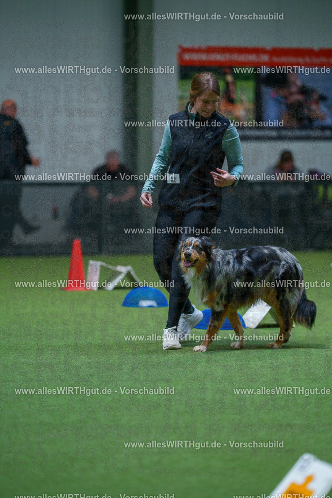 7R503098 | Professionelle Tierfotografie in Mönchengladbach von Daniel Wirth (allesWIRTHgut). Liebevolle & natürliche Bilder von Hunden & Katzen für unvergessliche Erinnerungen.