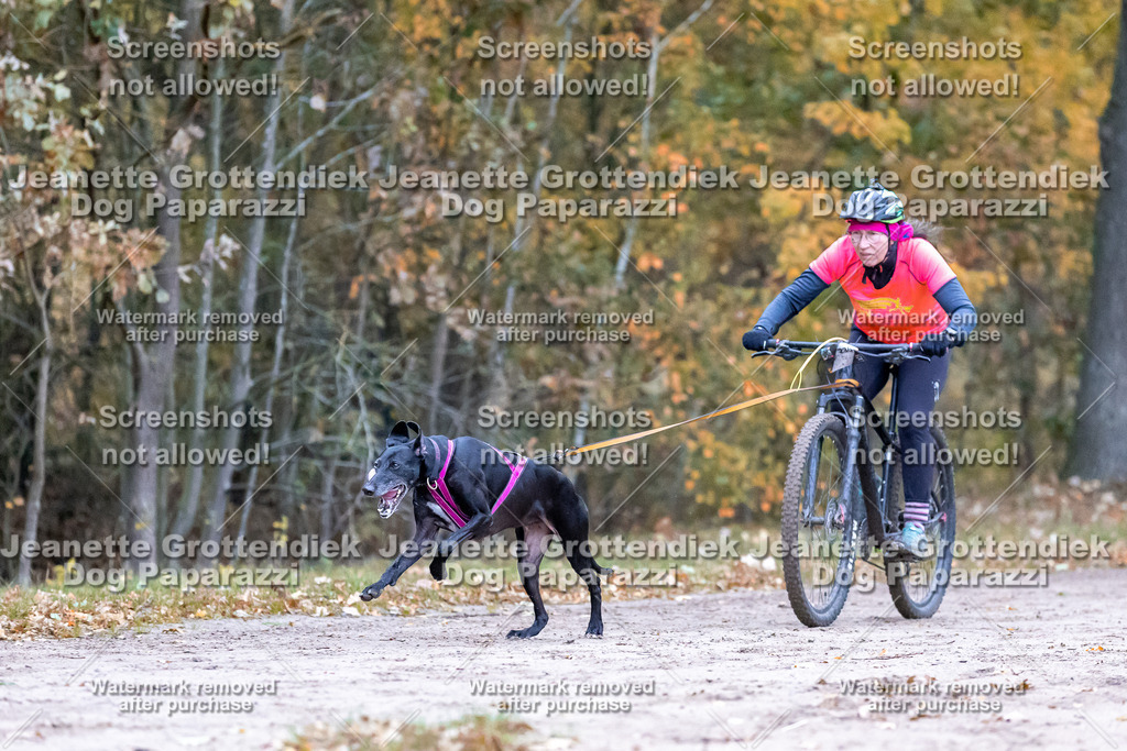 Dog Paparazzi - SD CaniX Championship 2025-61 | Dog Paparazzi Jeanette Grottendiek Fotografie & Videografie - Realisiert mit Pictrs.com