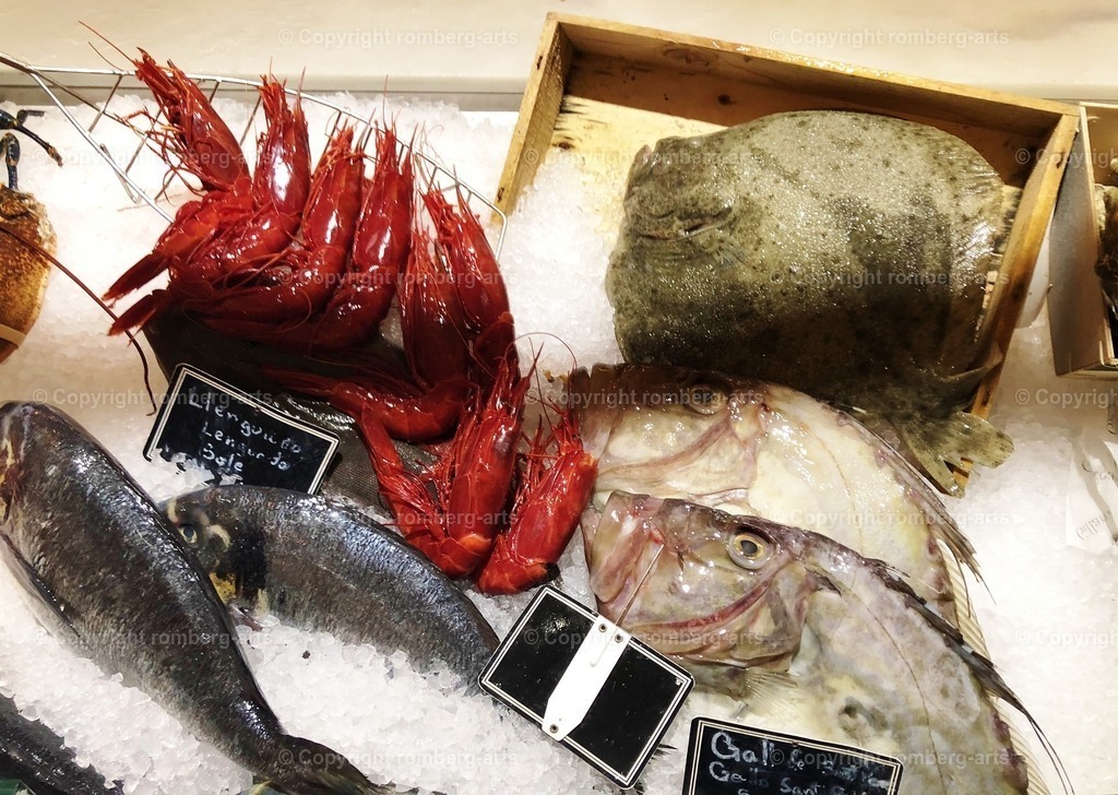 IMG_5661 | romberg-arts, romberg-arts.de, www.romberg-arts.de, Foto_Online_Shop, Julia Fuhrmann, Köln, Fotos, Fotografie, Fotokunst, Kunstdrucke, Naturfotos, Aktfotos, Nacktfotos, schwarz_weiß_Fotos, Blumenfotos, Blumen, Tiere, Beton, Korrosion, Lächeln, Drucke