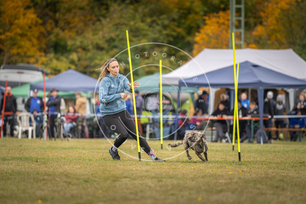 Pfotenfotografie_DV3A3467 | Hundefotografie, Tierfotograf, Pfotenfotografie, Fotoshooting Hund, Hunde Portrait, Hundesport, Hundeportraits, Heideshooting, Hunde, Sportfotograf, Hundefotograf, Turnierhundsport, THS,  - Realisiert mit Pictrs.com