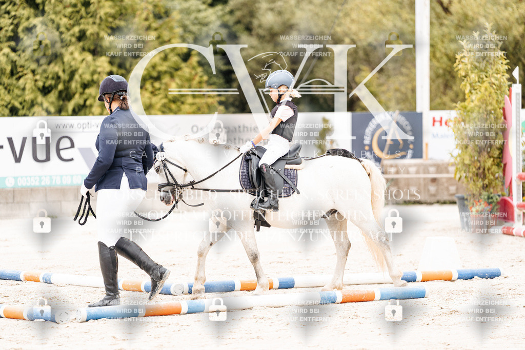CK907353 | Turnierfotografie Pferdefotografie Trier Rheinland-Pfalz Pferdesport Reitsport Tierfotografie Sportfotografie Pferdevideo Pferdevideografie Equestrianvideography equestrianphotography  - Realisiert mit Pictrs.com