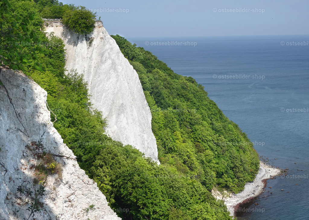 Königsstuhl | Blick zum berühmten Königsstuhl im Nationalpark Jasmund.