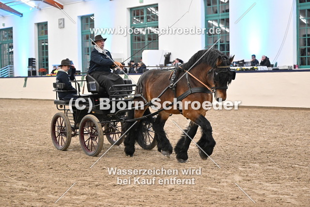 Unser Günther_974_5748 | Björn Schroeder Pferdefotografie