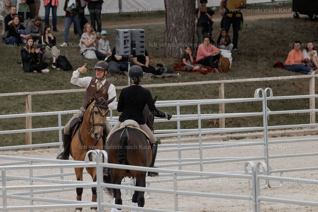 WE__Stoib_Rinder_PI2025_3014 | Pferd International München 2025