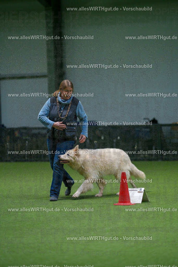 7R500159 | Professionelle Tierfotografie in Mönchengladbach von Daniel Wirth (allesWIRTHgut). Liebevolle & natürliche Bilder von Hunden & Katzen für unvergessliche Erinnerungen.