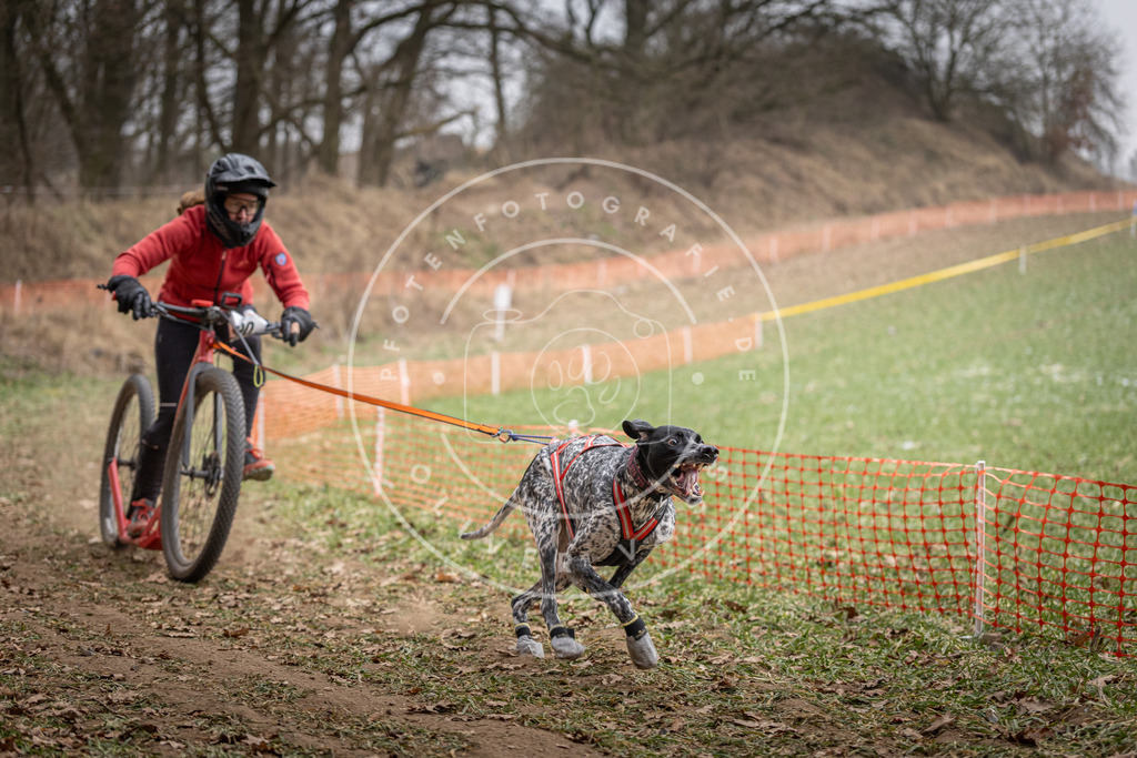 Pfotenfotografie_DV3A6700 | Hundefotografie, Tierfotograf, Pfotenfotografie, Fotoshooting Hund, Hunde Portrait, Hundesport, Hundeportraits, Heideshooting, Hunde, Sportfotograf, Hundefotograf, Turnierhundsport, THS,  - Realisiert mit Pictrs.com