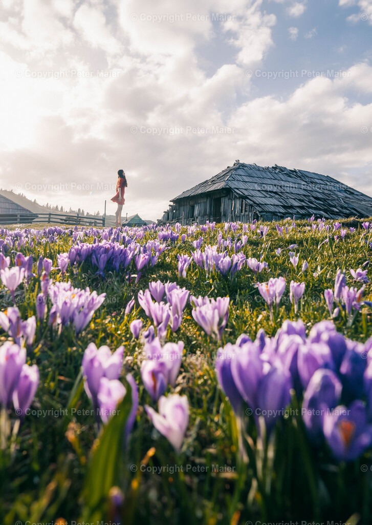 Velika Planina26 | piet_flosse