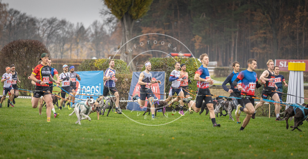 CaniXpix_DV3A9466 | Hundefotografie, Tierfotograf, Pfotenfotografie, Fotoshooting Hund, Hunde Portrait, Hundesport, Hundeportraits, Heideshooting, Hunde, Sportfotograf, Hundefotograf, Turnierhundsport, THS,  - Realisiert mit Pictrs.com