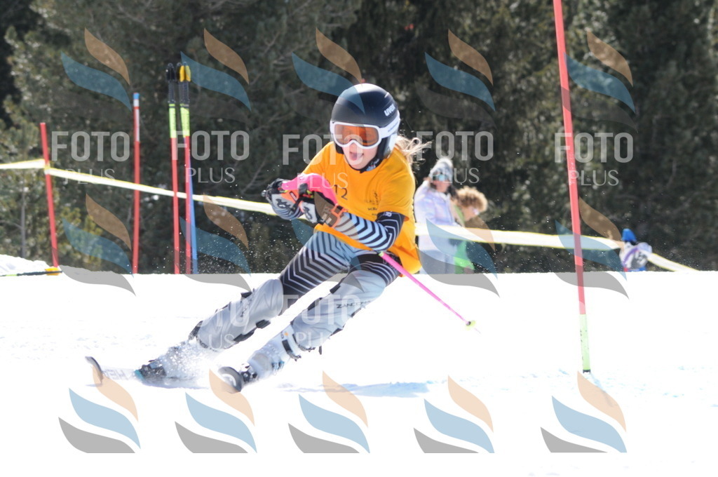 C9192 | holidayphoto