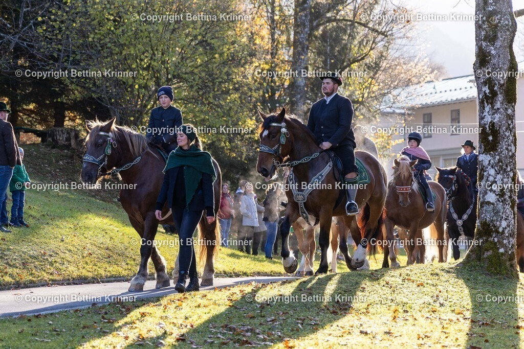 LL24-153 | foto-bettina-krinner - Realisiert mit Pictrs.com