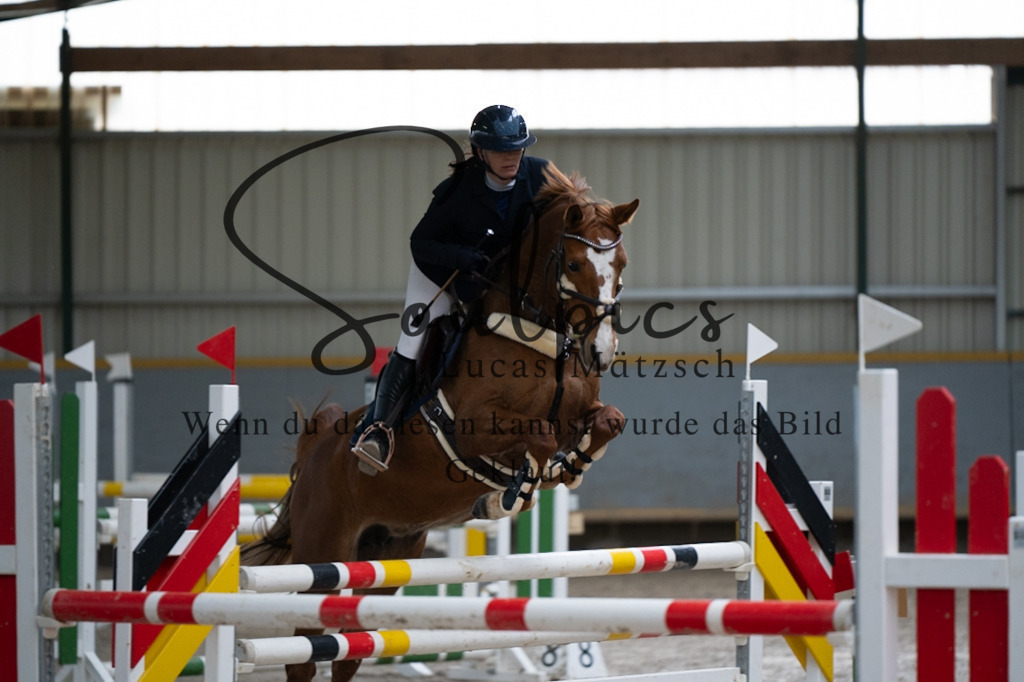 A7V07408 | Pferdefotograf