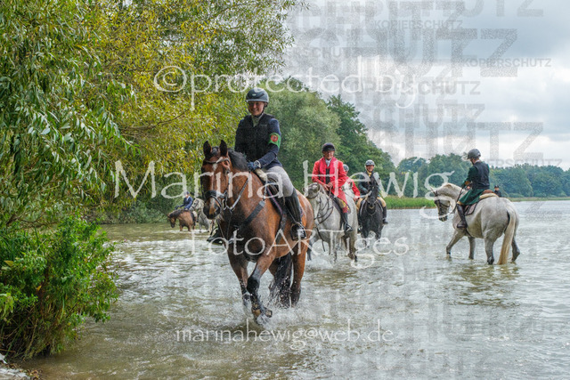 Jagd Perdoel_MarinaHewigDSCF3654 | Fotografie, FotoArt, PferdesportArt, Pferdesportfotografie, Landschaftsfotografie, Reisefotografie, Reise, Pferde - Realisiert mit Pictrs.com