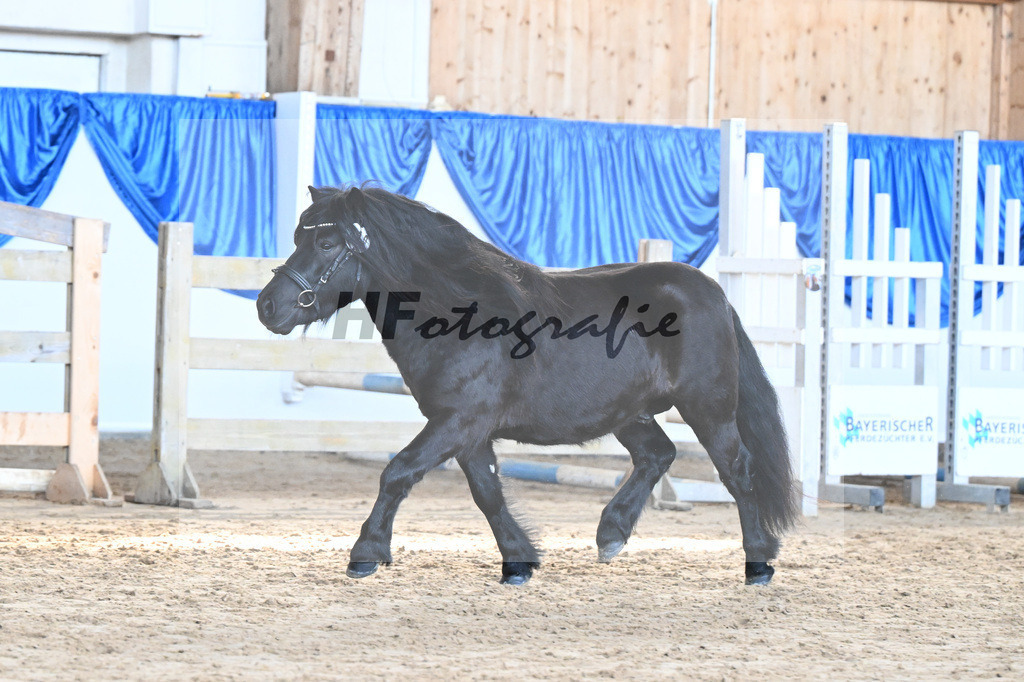 Kat-Nr. 19 Wattan von Neuhaeusler v. Wolfgang v d Roemer_Baumann_9260501 | hf-fotografie - Realisiert mit Pictrs.com
