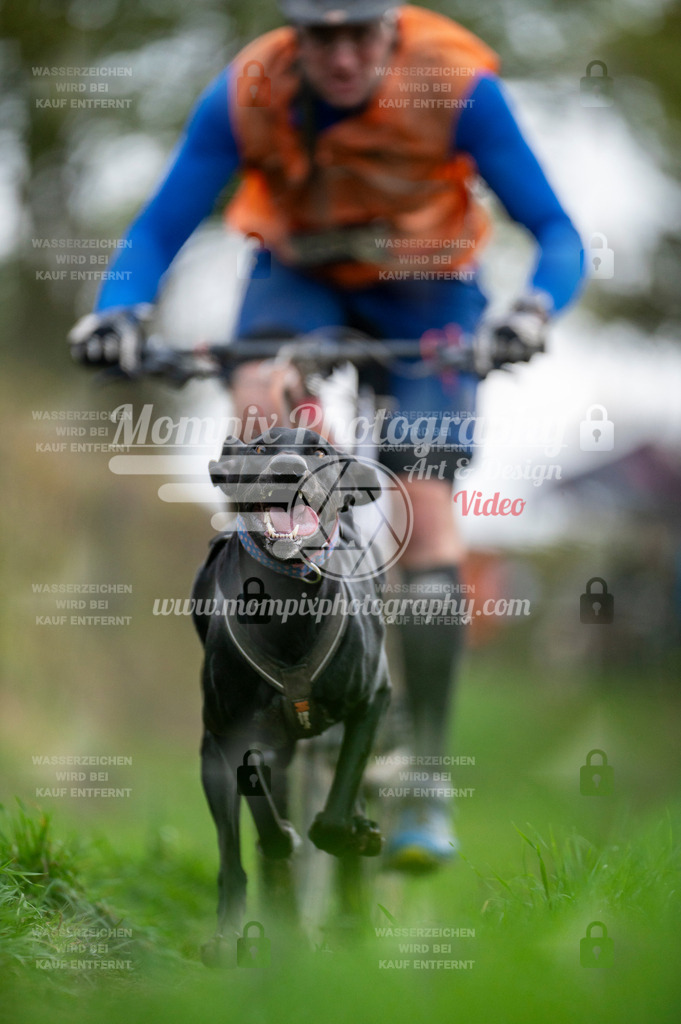 TSB_2023_E8_Bike-55 | PayLife