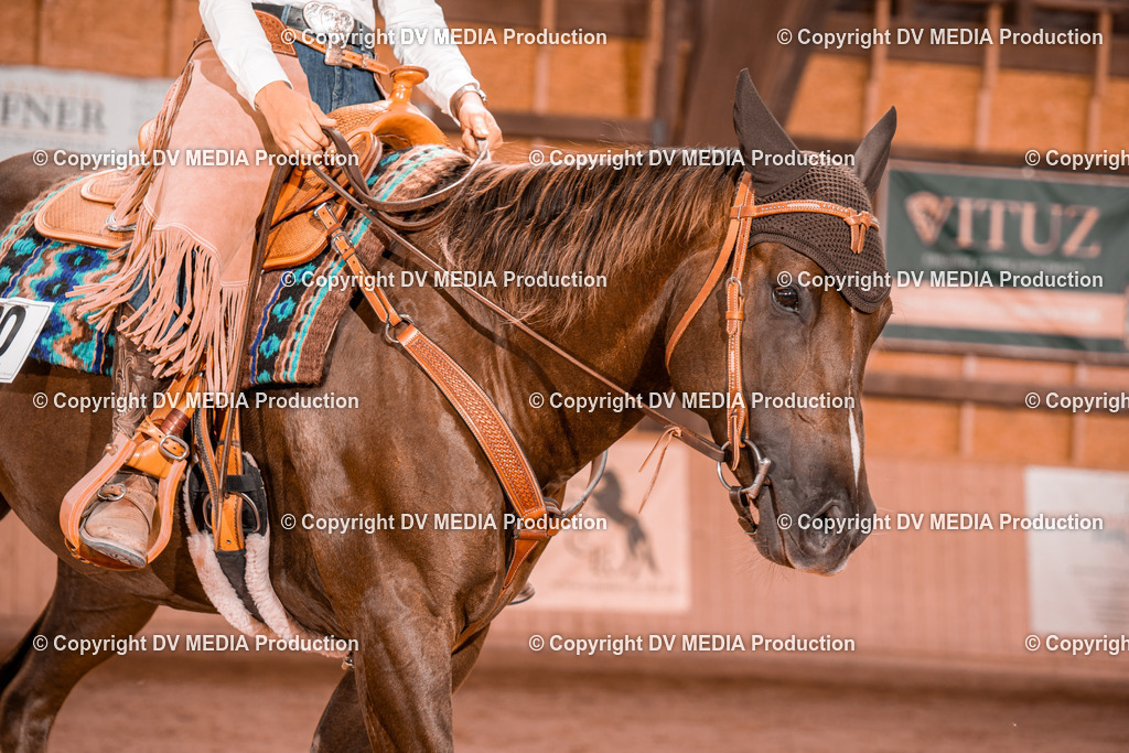 NE200555 | dv-media-shop - Realisiert mit Pictrs.com