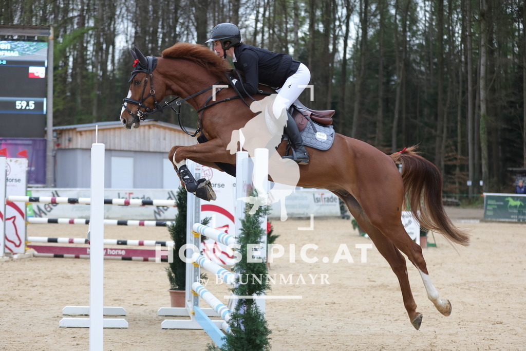 0P6A3135 | Willkommen bei Brunnmayr - Design & Fotografie – Ihrem Spezialisten für Reitturniere und Pferdeveranstaltungen in Oberösterreich, Salzburg und Bayern! Seit über 17 Jahren sind wir leidenschaftlich dabei.