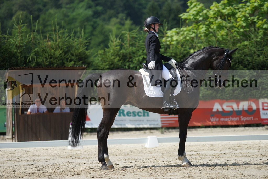DSC05307 | equestrian-live-com