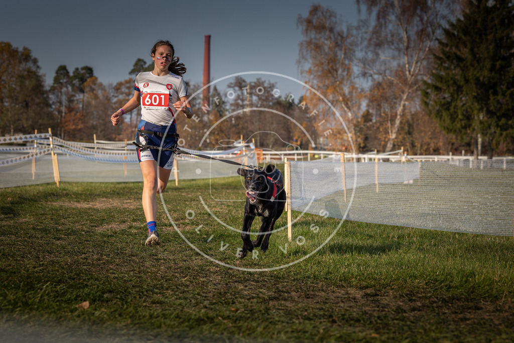 CaniXpix_0L8A0021 | Hundefotografie, Tierfotograf, Pfotenfotografie, Fotoshooting Hund, Hunde Portrait, Hundesport, Hundeportraits, Heideshooting, Hunde, Sportfotograf, Hundefotograf, Turnierhundsport, THS,  - Realisiert mit Pictrs.com
